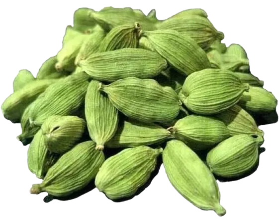 Cardamom 8MM Green